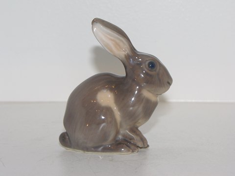 Dahl Jensen figurine
Rabbit
