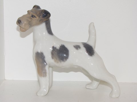 Royal Copenhagen figurine
Wirehaired Terrier