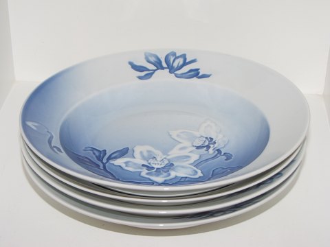 Christmas Rose
Small soup plate 22 cm.