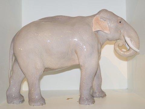 Rare Royal Copenhagen figurine
Very large elephant from 1898-1923
