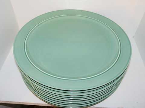 4 all seasons
Extra large dinner plate