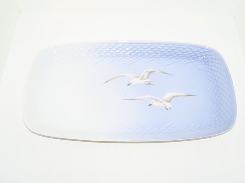 Seagull without gold edge
Tray