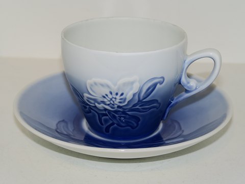 Christmas Rose
Coffee cup