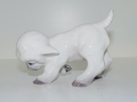 Bing & Grondahl Figurine
Lamb
