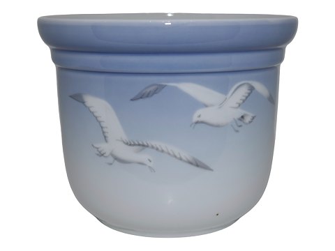 Seagull without gold edge
Small flower pot