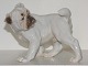 Rare Bing & Grondahl figurine
English Bulldog