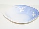 Seagull without gold edge
Small oblong bowl