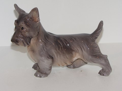 Antik K - Dahl Jensen hunde figur Skotsk Terrier