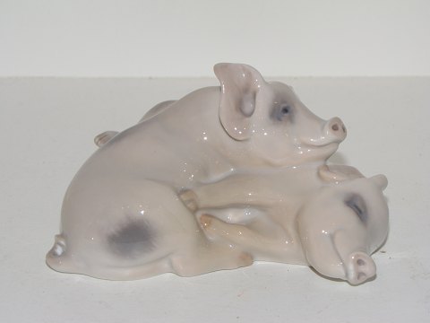 Royal Copenhagen figurine
Two pigs