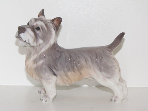 Dahl Jensen figurine
Cairn Terrier