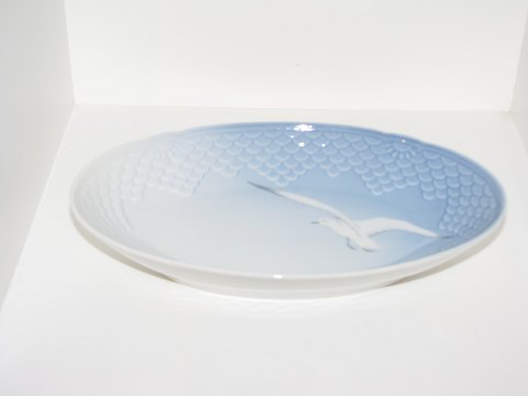 Seagull without gold edge
Dish