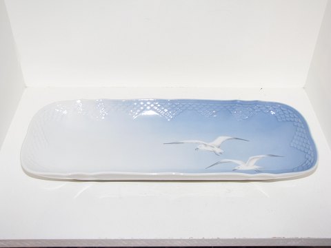 Seagull without gold edge
Large oblong platter for selleri