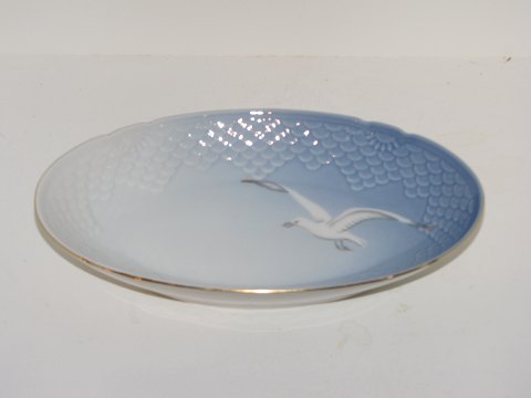 Seagull with gold edge
Dish