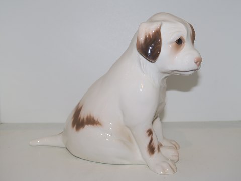 Rare and large Bing & Grondahl figurine
Puppy