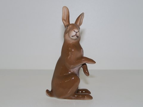 Bing & Grondahl figurine
Hare