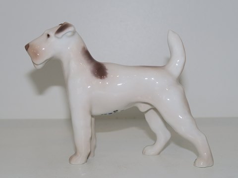 Bing & Grondahl dog figurine
Wirehaired terrier