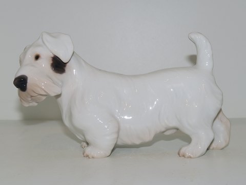 Bing & Grøndahl figur
Sealyham Terrier