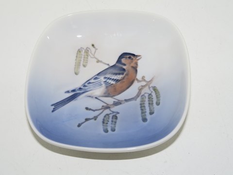 Royal Copenhagen 
Small dish with robin