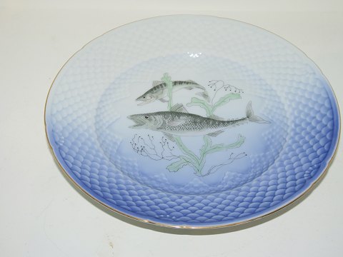Måge med guldkantFisketallerken Nr. 10 Makrel