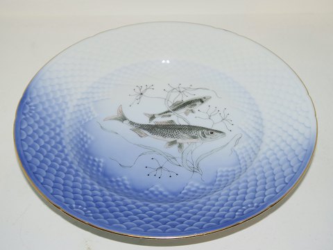 Seagull with gold edge
Fish plate Number 1 
Herring