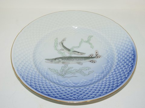 Seagull with gold edge
Fish plate Number 4 
Pike
