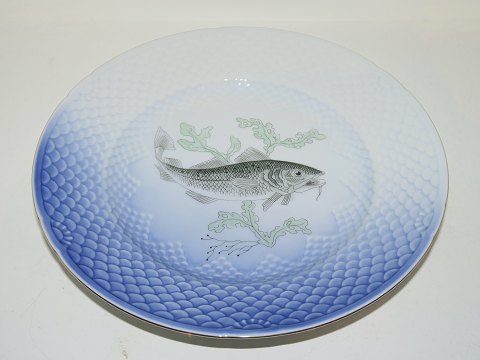 Måge med guldkantFisketallerken Nr. 6 Torsk