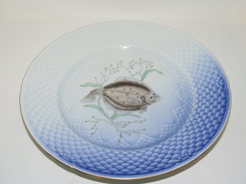 Seagull with gold edge
Fish plate Number 3 
Plaice