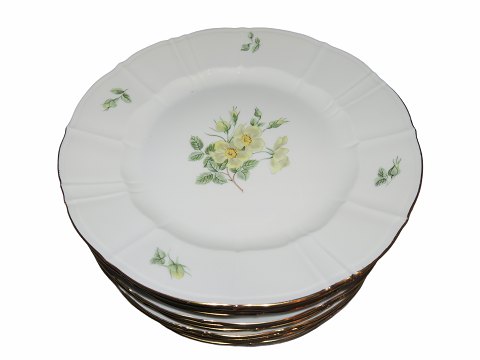 Dune Rose
Dinner plate 24.6 cm.