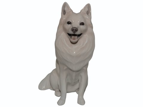 Rare Royal Copenhagen figurine
Husky dog from 1898-1923