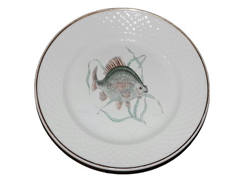 Hostrup Jernporcelæn
Stor fisketallerken 24 cm. - Karudse