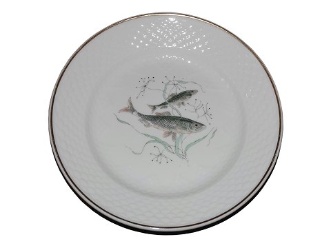 Hostrup Jernporcelæn
Stor fisketallerken 24 cm. - Sild