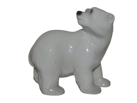 Lyngby figur
Isbjørneunge
