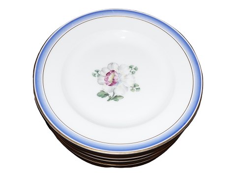 Blue Edge and Flowers
Luncheon plate 21.0 cm.