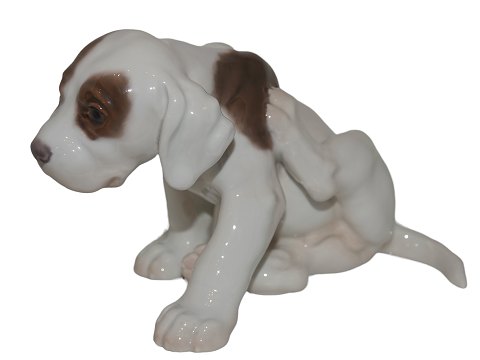 Rare Bing & Grondahl Figurine
Pointer puppy scratching