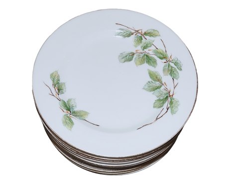 Beech Leaves
Dinner plate 23.5 cm.