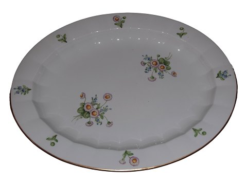 Bellis & Coltsfoot Angular
Large platter 41.5 cm.