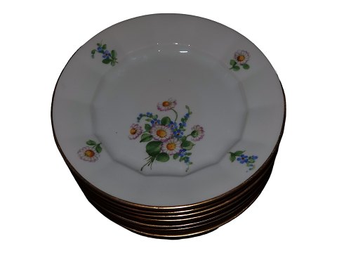 Bellis & Coltsfoot Angular
Side plate 15.5 cm.