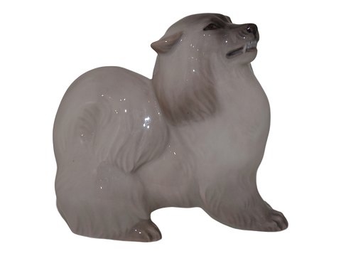 Rare Royal Copenhagen figurine
Dog