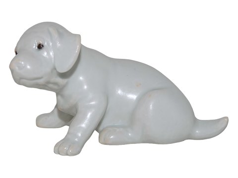 Royal Copenhagen figurine
Pointer puppy with matte white glaze