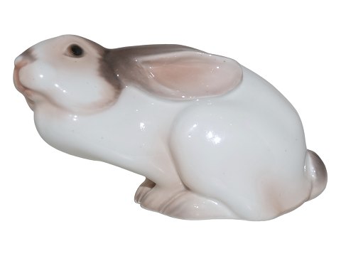 Dahl Jensen
Større figur af hvid kanin