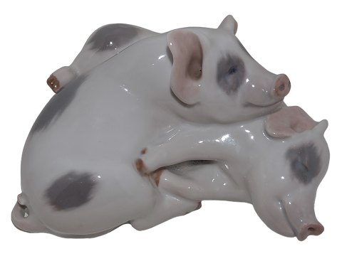 Royal Copenhagen figurineTwo pigs