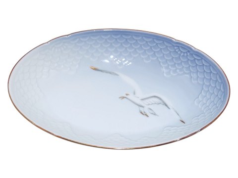 Måge med guldkant
Mini asiet 18 cm.