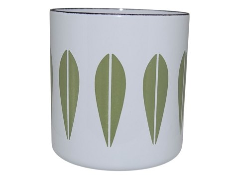 Lotus 
Tedåse
