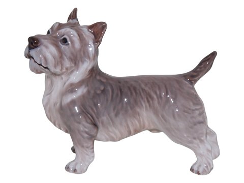 Dahl Jensen figurineCairn Terrier
