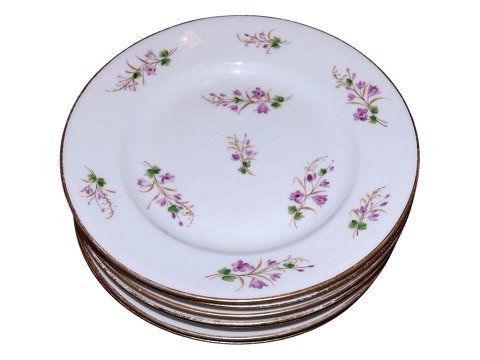 Royal Copenhagen Lilla ViolerMiddagstallerken 22,9 cm.
