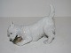 Royal Copenhagen hunde figur
Terrier med sutsko i munden