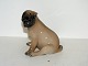 Royal Copenhagen dog figurine
Pug puppy