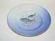 Seagull with gold edgeFish plate Number 12Bream