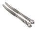 Sachian Flower silver
Dinner knife with long blade 22.0 cm.