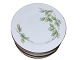 Beech Leaves
Dinner plate 23.5 cm.